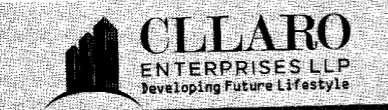 Developer