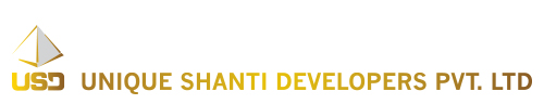 Developer
